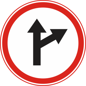 Going straight or right is allowed