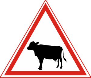 Road crossing for cattle