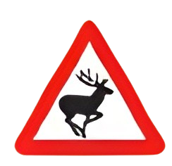 Wild animal crossing